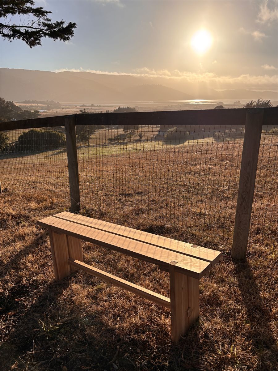 Outdoor Bench